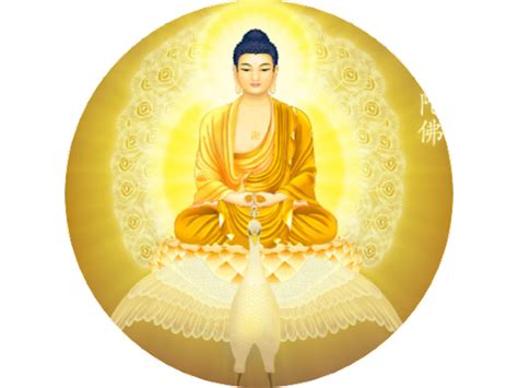 Mò shì lù 2025